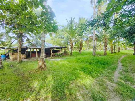 land for sale cebu|Land/Lot for Sale in Cebu .